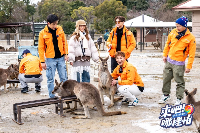 六棒造訪響動物世界 把握機會與袋鼠近距離接觸。 六棒造訪響動物世界 把握機會與袋鼠近距離接觸。