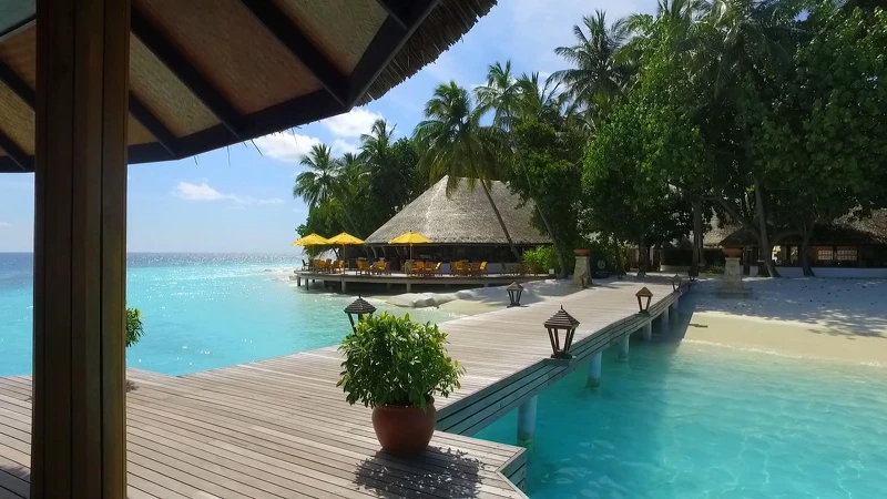 Photo / 塔羅耳語 Photo / 塔羅耳語