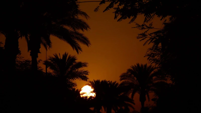 Photo / 塔羅耳語 Photo / 塔羅耳語