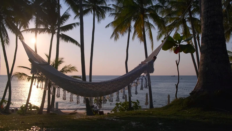 Photo / 塔羅耳語 Photo / 塔羅耳語