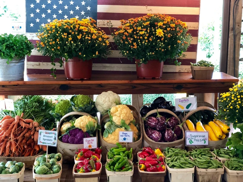 「Round Swamp」。