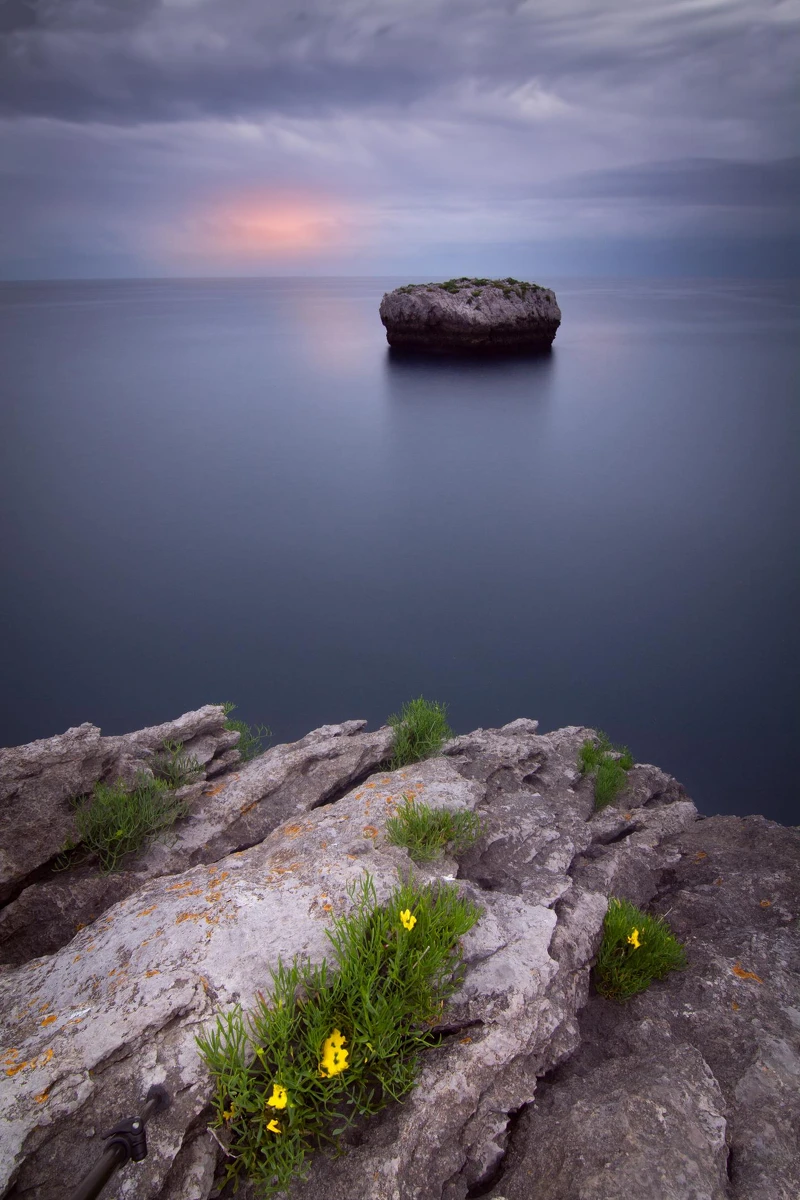 心理測驗｜在水果遍布的無人島，測測脆弱時你可以信賴誰？｜© Getty Images