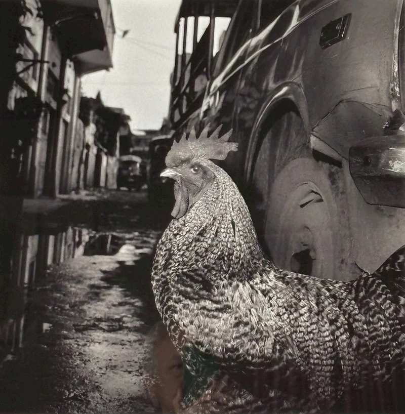 Hanoi - 瀨戶正人 日本攝影大師原作展 1985年_16x20 英吋