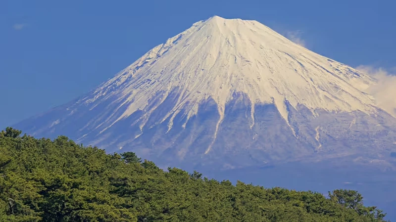 Photo／www.ana.co.jp