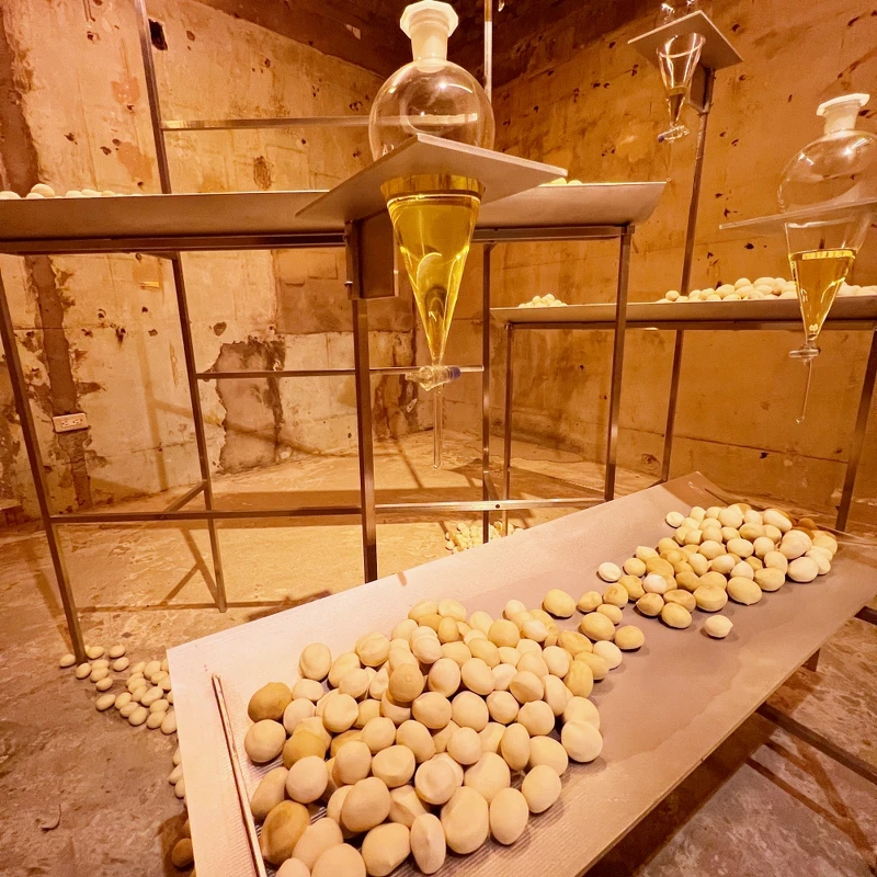 copenn.香氛裝置藝術「馥息流間」。