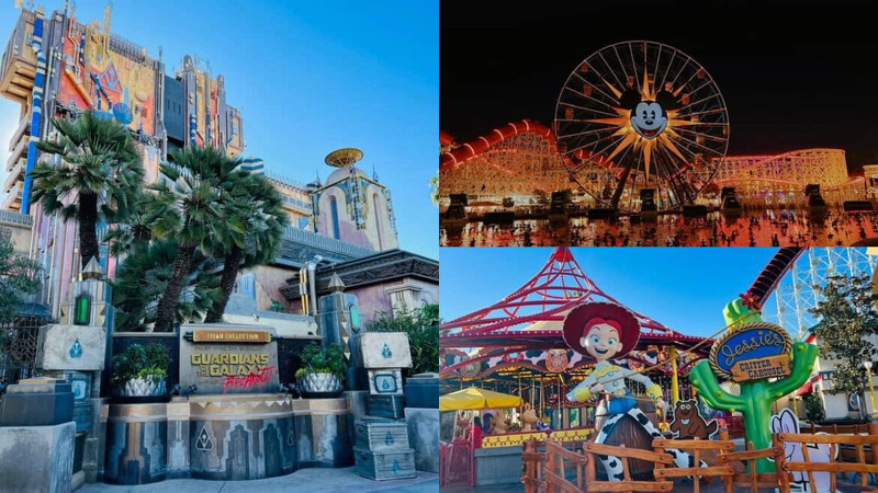 photo/ 讀者提供 photo/ 讀者提供