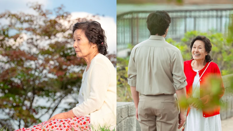 Photo／JTBC Drama官網