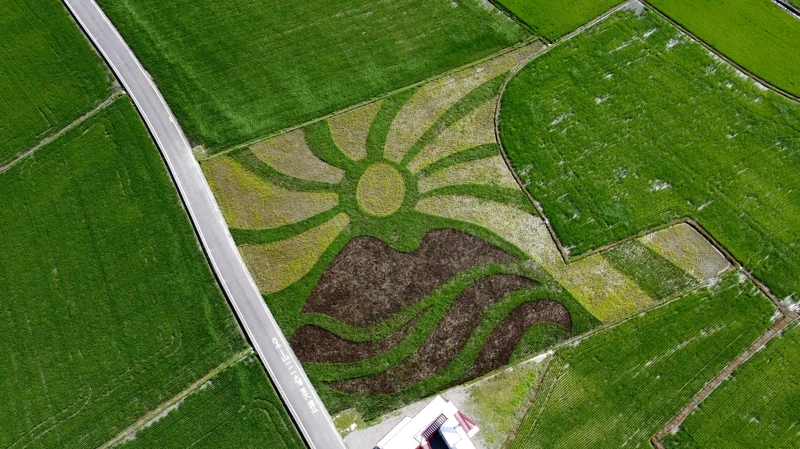 2025宜蘭三奇美徑「彩繪稻田」 2025宜蘭三奇美徑「彩繪稻田」