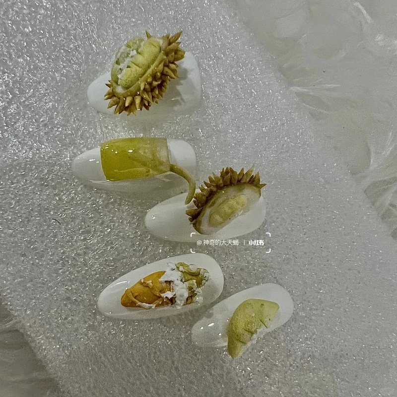 立體可愛水果美甲 (Photo/小紅書@大天蝎不是美甲师)