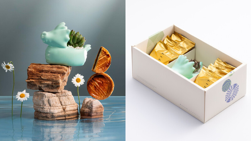 有肉SUCCULAND 2025「綠舟金運端午雙享植品禮盒」 有肉SUCCULAND 2025「綠舟金運端午雙享植品禮盒」