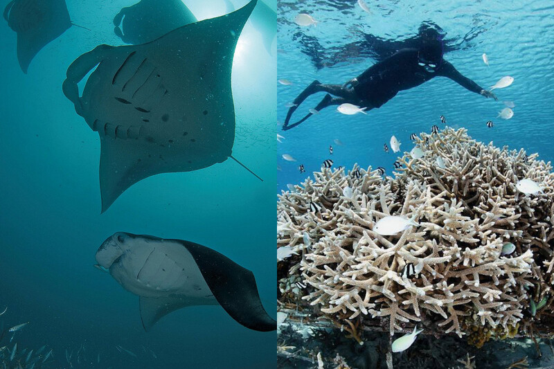 （Image credit: Four Seasons Resort Maldives at Landaa Giraavaru）