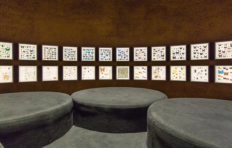 嬌蘭將與生命空間基金會合作推出全新BEE SCHOOL教程-蒙特婁昆蟲館影像資料 © Fabrication Atelier Aktuel 嬌蘭將與生命空間基金會合作推出全新BEE SCHOOL教程-蒙特婁昆蟲館影像資料 © Fabrication Atelier Aktuel