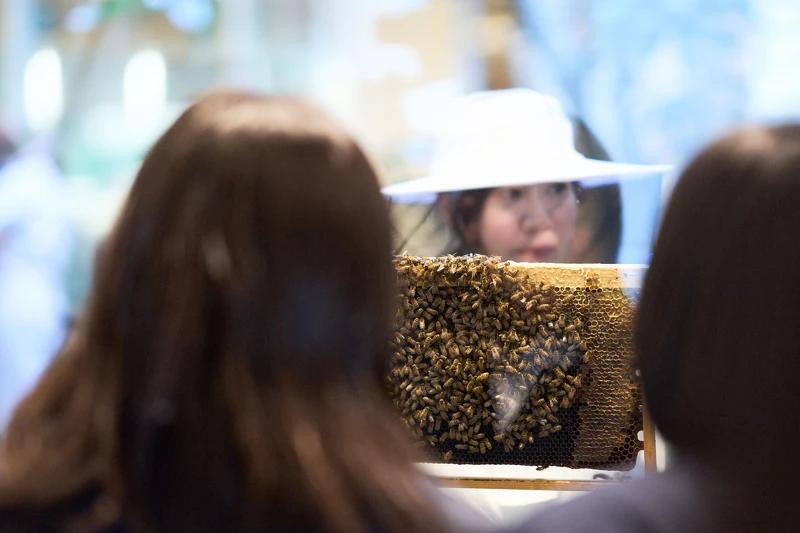 © Keiichiro Nakajima © Keiichiro Nakajima