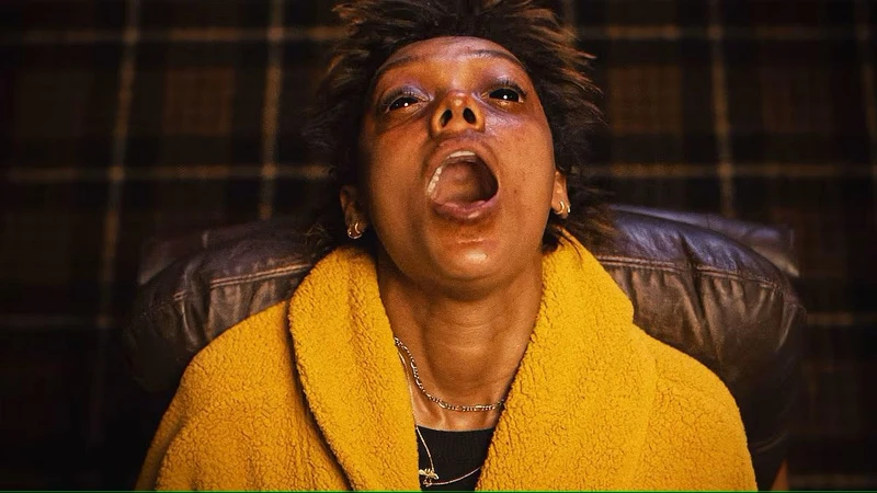 菲利浦兄弟的首部電影《鬼手鬼手請開口》被譽為是A24最恐怖的電影