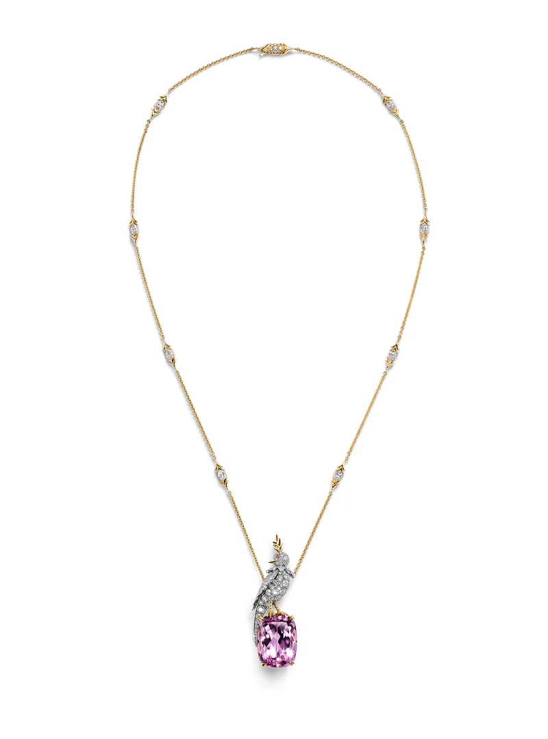 Tiffany & Co. Schlumberger石上鳥系列 - 鉑金與18K金鑲嵌孔賽石主石項鍊