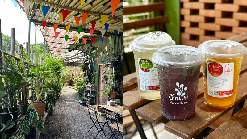 拷叻咖啡廳推薦Baan Bai Tea Café & Coffee 拷叻咖啡廳推薦Baan Bai Tea Café & Coffee