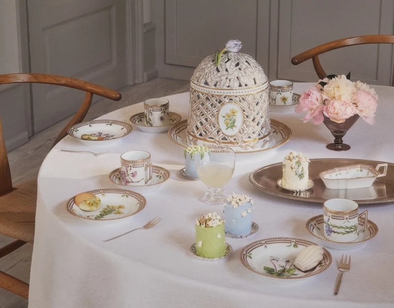 丹麥之花百岳盤形象照。