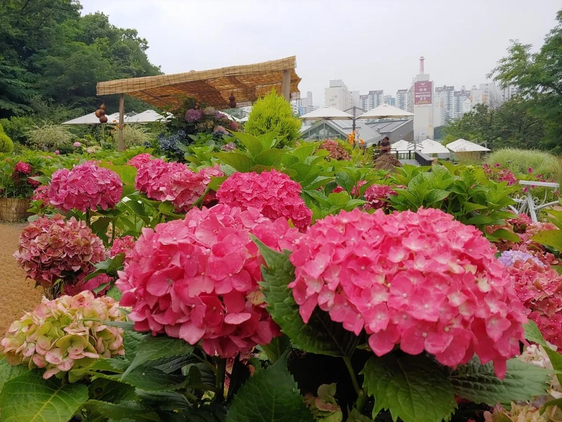 Photo/翻攝自Naver Map Photo/翻攝自Naver Map