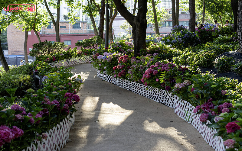Photo/내 손안에 서울官網 Photo/내 손안에 서울官網