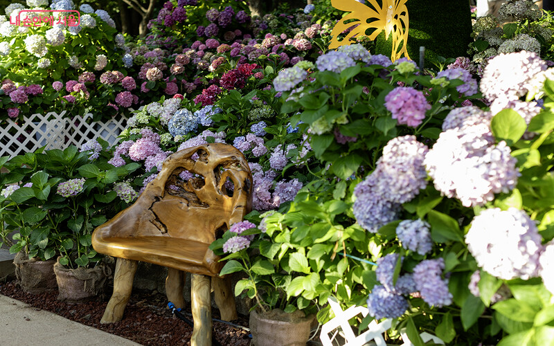 Photo/내 손안에 서울官網 Photo/내 손안에 서울官網