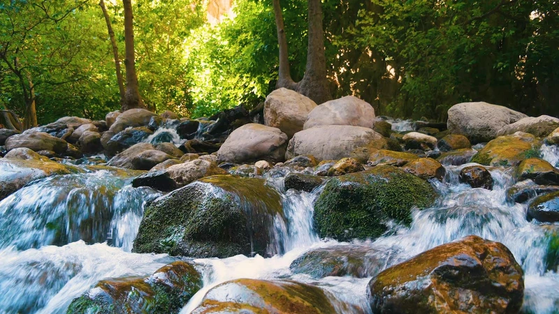 Photo / 塔羅耳語 Photo / 塔羅耳語