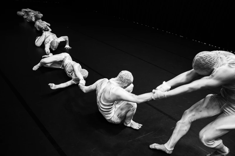 身體處方提供 身體處方提供