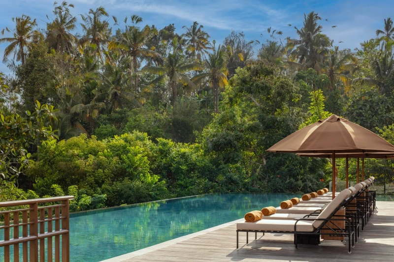 親子共享的泳池區。 親子共享的泳池區。