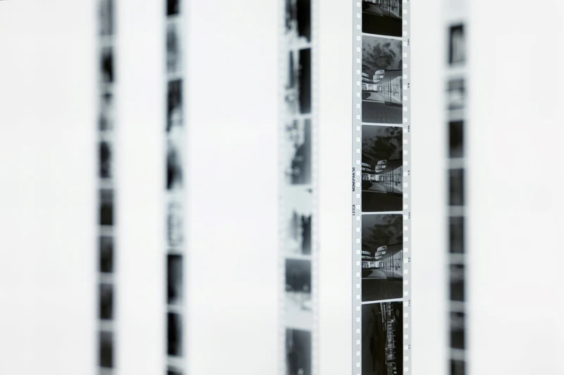 底片採全色感光性能不僅對可見光色階敏銳。