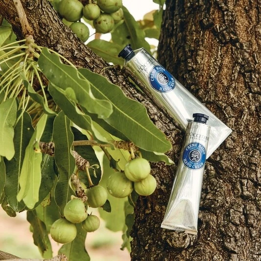 L’OCCITANE歐舒丹乳油木護手霜30ml,NT420、75ml,NT900、150ml,NT1,220 L’OCCITANE歐舒丹乳油木護手霜30ml,NT420、75ml,NT900、150ml,NT1,220