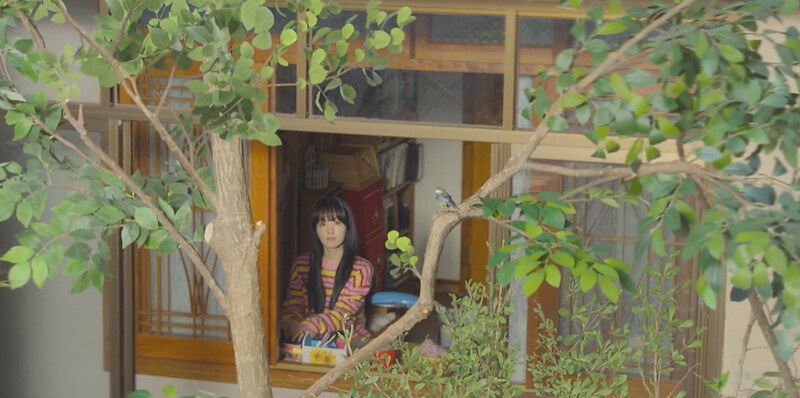 未知望向窗口看見樹梢上的小鳥,想起外婆說會幻化為小鳥在她身邊,全劇以「溫柔同在」作結。 未知望向窗口看見樹梢上的小鳥,想起外婆說會幻化為小鳥在她身邊,全劇以「溫柔同在」作結。