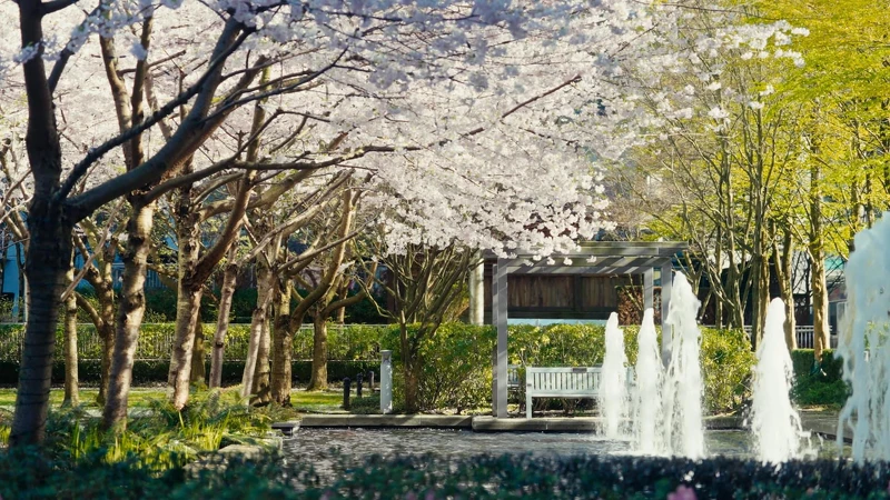 Photo / 塔羅耳語 Photo / 塔羅耳語