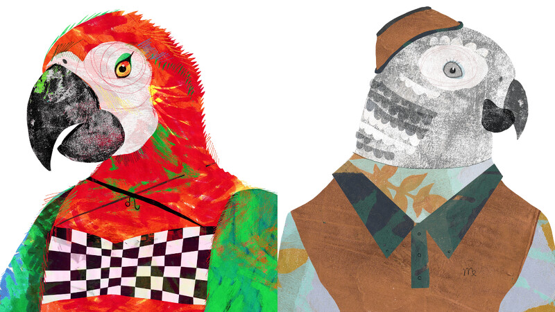 獅子和處女的結合，可以互補，成為彼此的最強戰友。