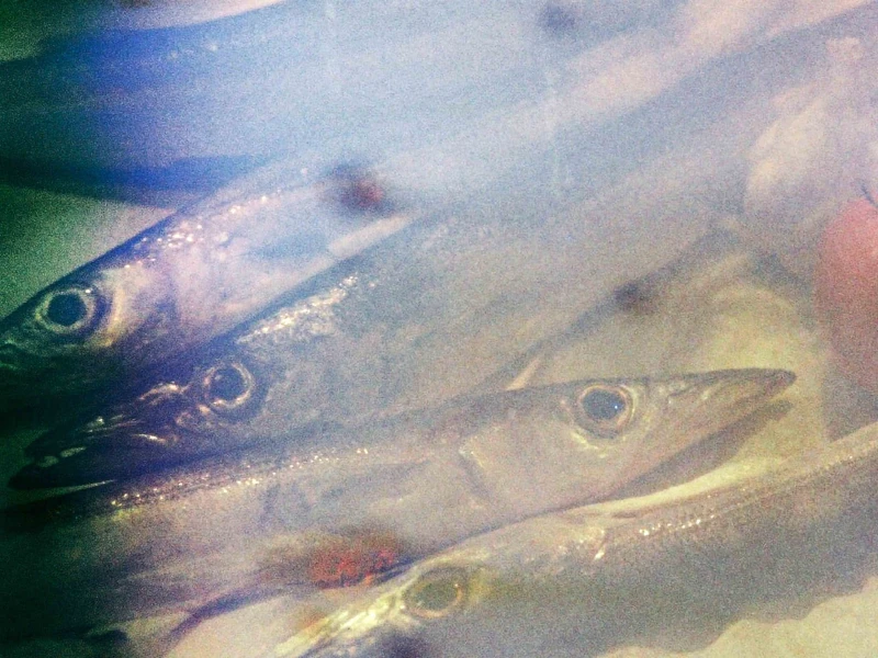 「親愛的台灣,戶外影像展」,劉千鈺 X 台灣共生青年協會《風景作證:餐桌上的記憶場》。圖/劉千鈺 「親愛的台灣,戶外影像展」,劉千鈺 X 台灣共生青年協會《風景作證:餐桌上的記憶場》。圖/劉千鈺