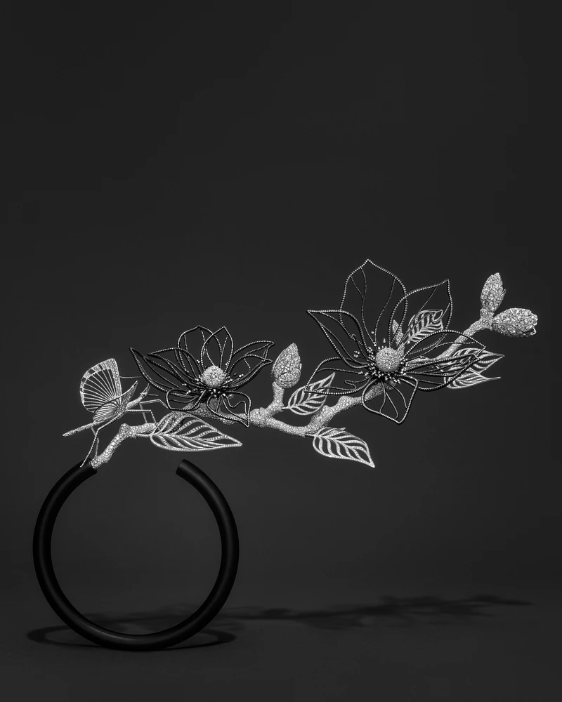 作品照