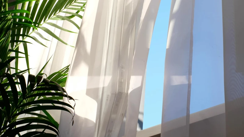 Photo / 塔羅耳語