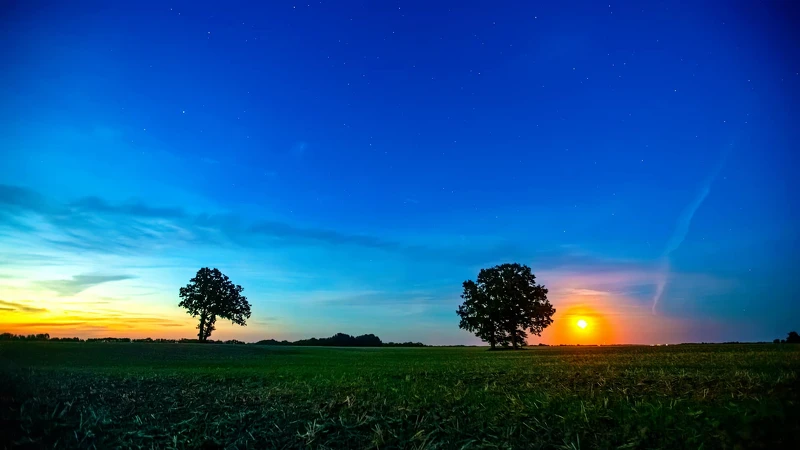 Photo / 塔羅耳語