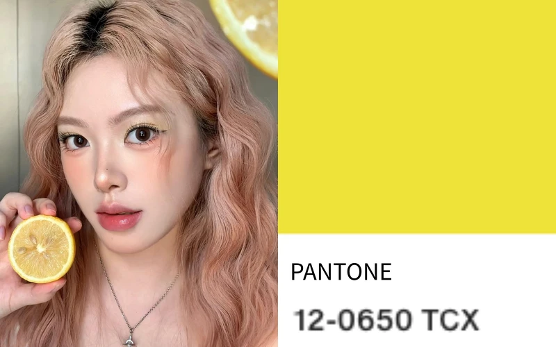 (Photo/ PANTONE、小紅書@NEW-UY) (Photo/ PANTONE、小紅書@NEW-UY)