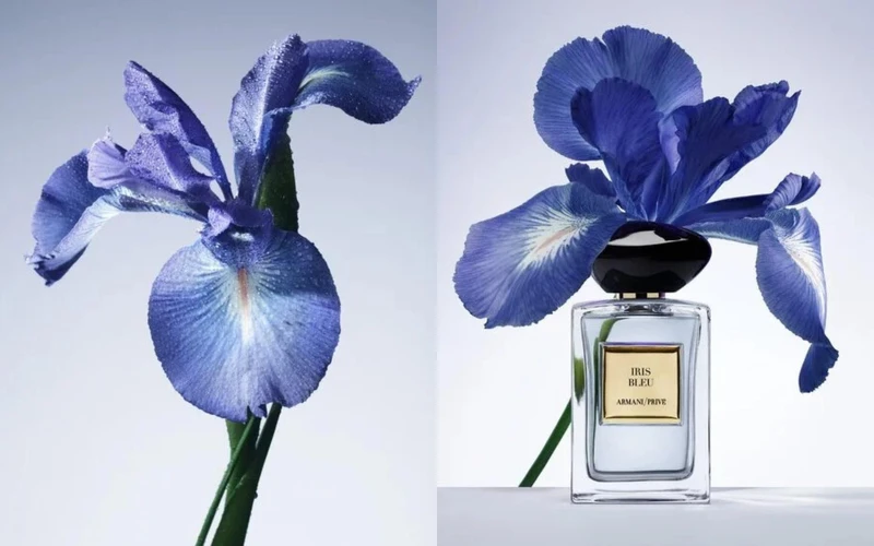 Armani 高訂淡香水花園系列 黎明鳶尾,50ml NT5,500、100ml NT8,500 Armani 高訂淡香水花園系列 黎明鳶尾,50ml NT5,500、100ml NT8,500
