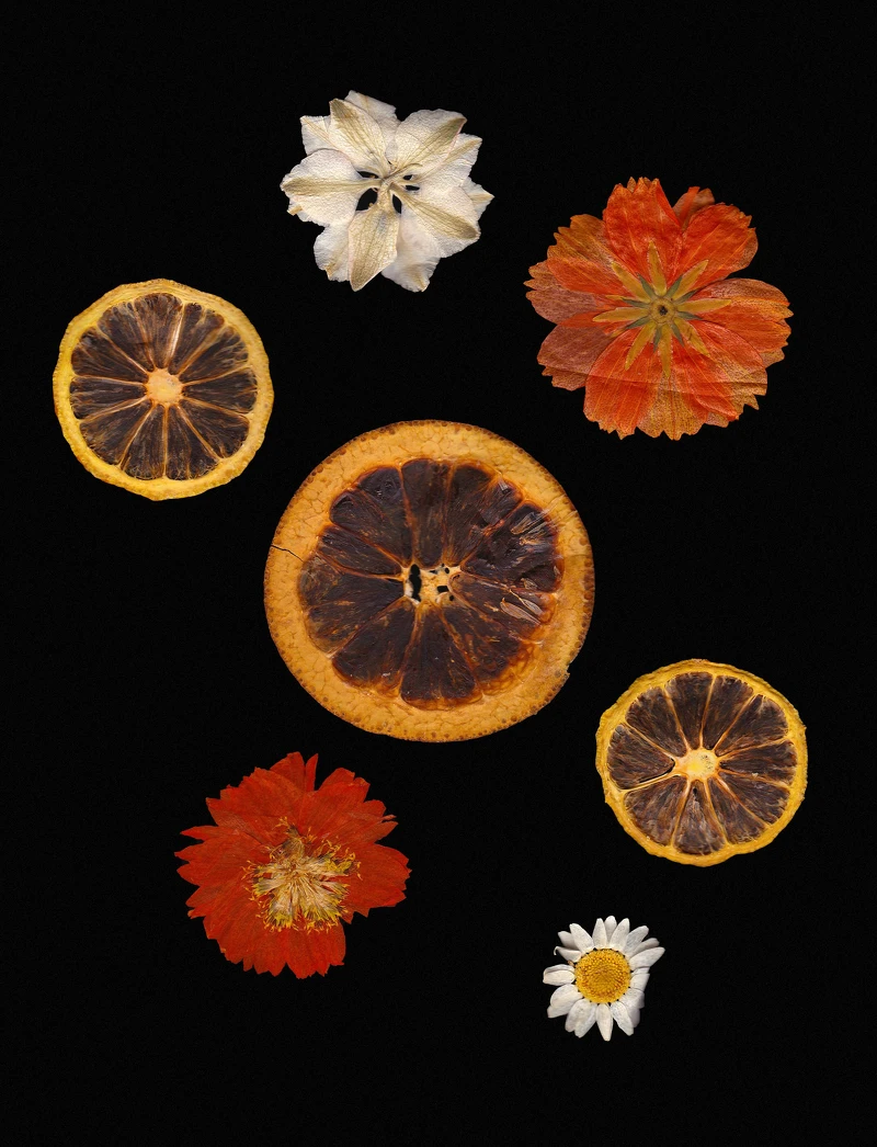 Photo / pexels Photo / pexels