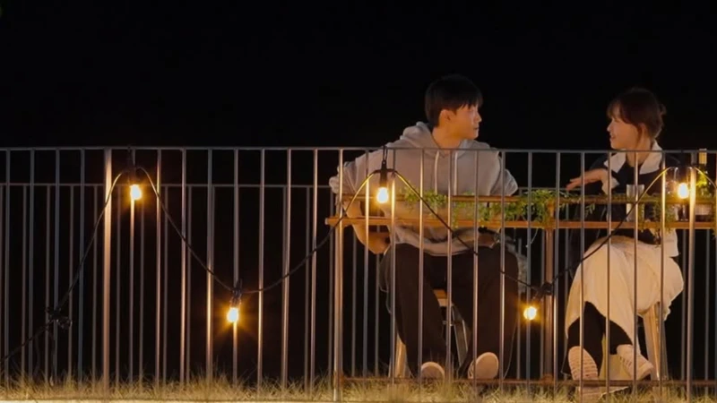 《母胎單身戀愛大作戰》