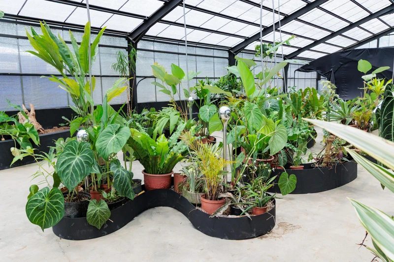 SensWave 波感溫室「共聲植島 Future Botanic 」