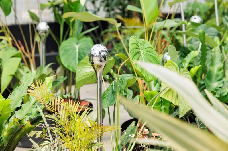 SensWave 波感溫室「共聲植島 Future Botanic 」