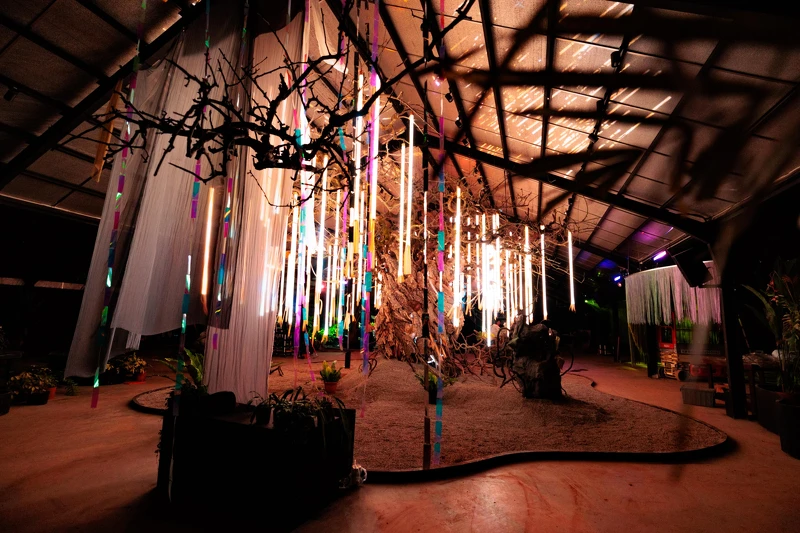 SensWave 波感溫室「靈魂之樹 Soul Tree 」