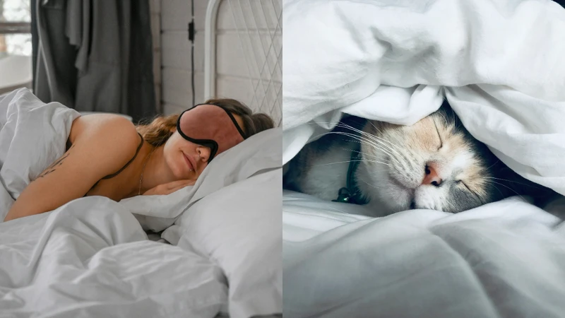 Photo/Unsplash Photo/Unsplash