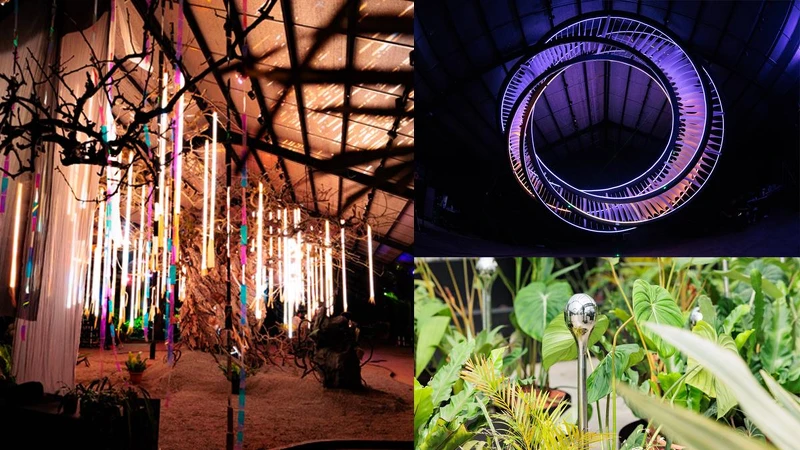 原圖由泊人ANKR提供 原圖由泊人ANKR提供