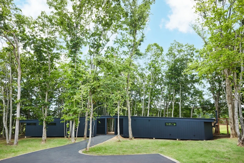 建築像大鳥一般,將翅膀展開棲息在森林中。 建築像大鳥一般,將翅膀展開棲息在森林中。