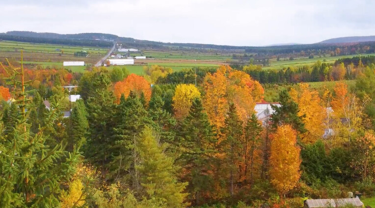  Photo / 塔羅耳語