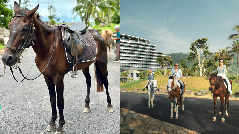 宜蘭凱渡廣場酒店-椰林馬趣活動 宜蘭凱渡廣場酒店-椰林馬趣活動