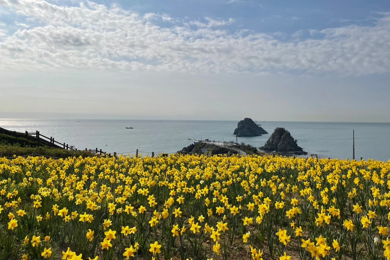 五六島Skywalk玻璃步道的臨海視角（韓國觀光公社提供）