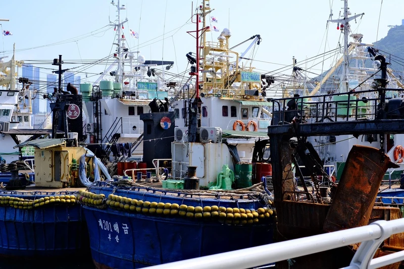 釜山札嘎其市場緊鄰國際市場，是韓國最具代表性的漁市之一